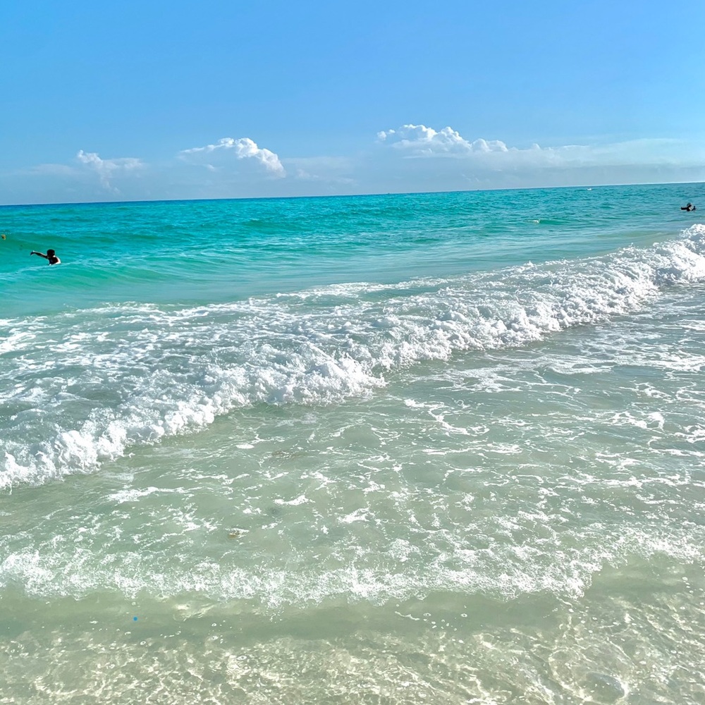 All the clothes are from a pet and smoke free home